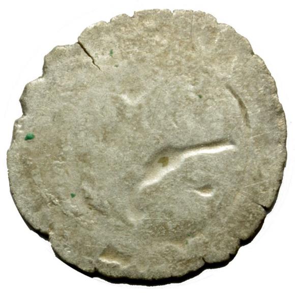 Halerz Władysław II Jagiellończyk Czechy (2)