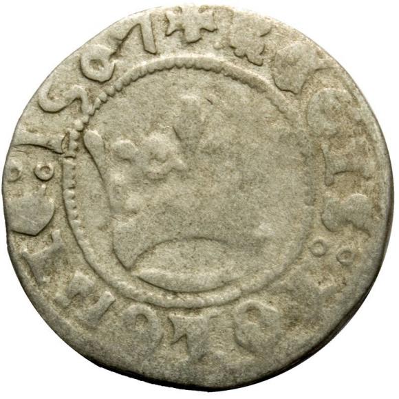 Półgrosz 1507 Zygmunt I Stary Kraków (1)