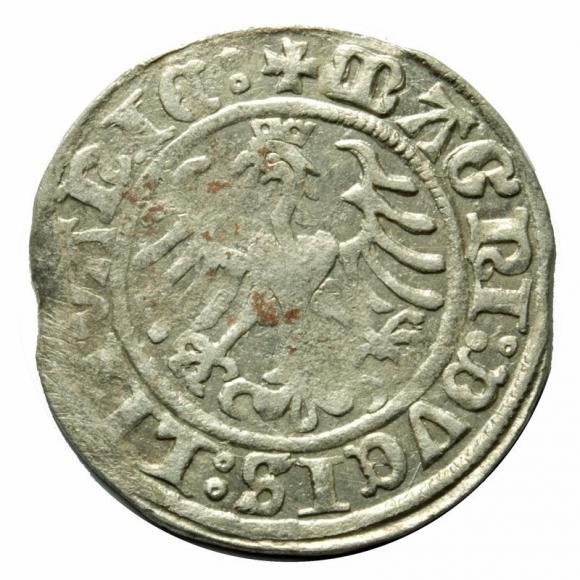 Półgrosz 1509 Zygmunt I Stary Wilno