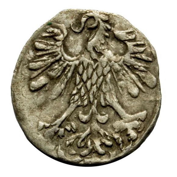 Denar 1556 Zygmunt II August Wilno (2)