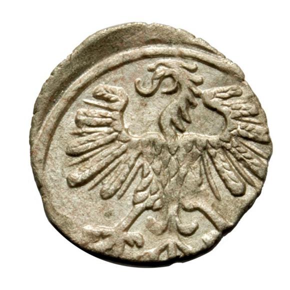 Denar 1559 Zygmunt II August Wilno (2)