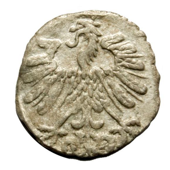 Denar 1558 Zygmunt II August Wilno (2)