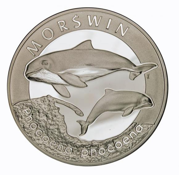 20 zł 2004 Morświn (1)