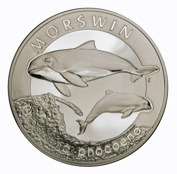 20 zł 2004 Morświn (1)