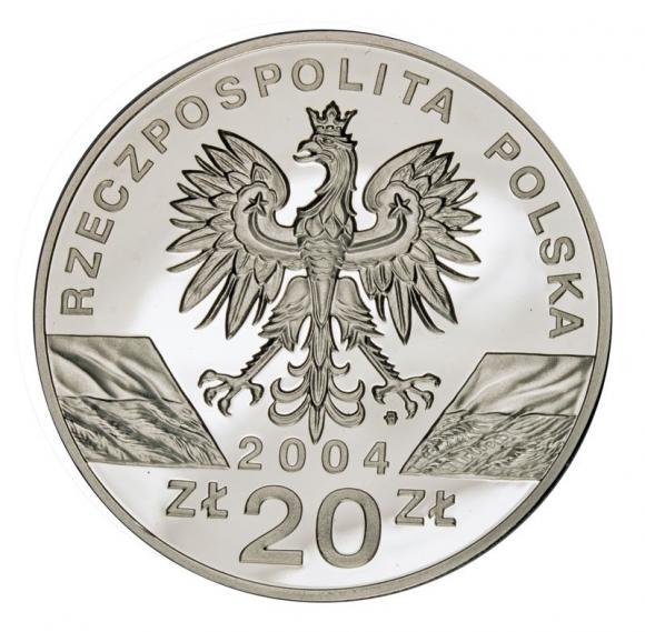 20 zł 2004 Morświn (2)
