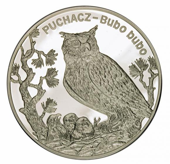 20 zł 2005 Puchacz (1)