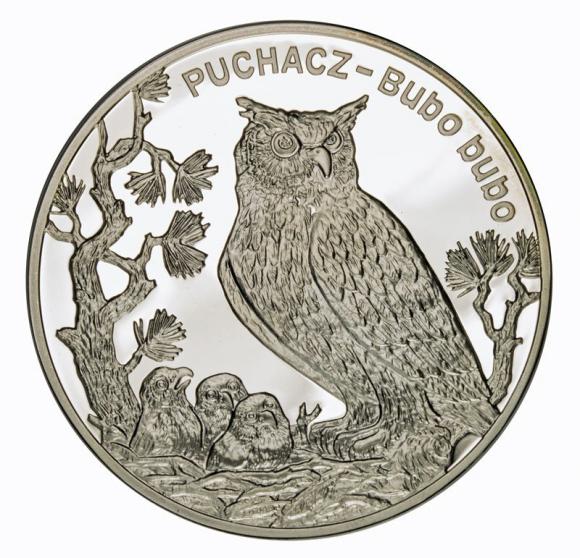 20 zł 2005 Puchacz (1)