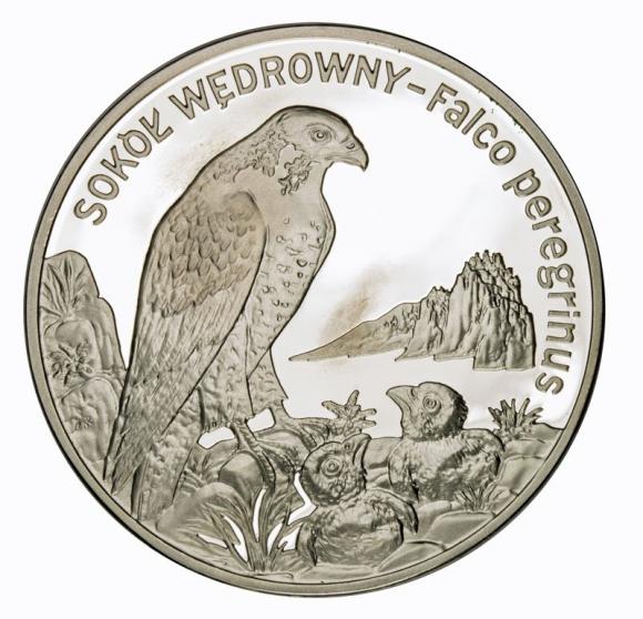 20 zł 2008 Sokół (1)