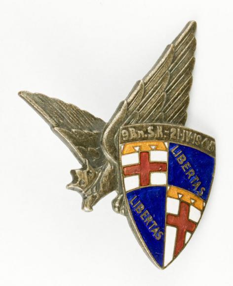 Odznaka pamiątkowa 9 Batalion Strzelców Karpackich (1)