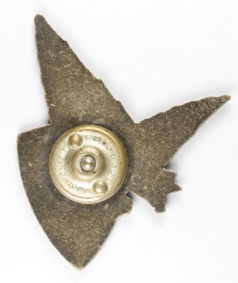 Odznaka pamiątkowa 9 Batalion Strzelców Karpackich (2)