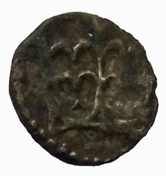 Denar Władysław Warneńczyk Kraków (1)