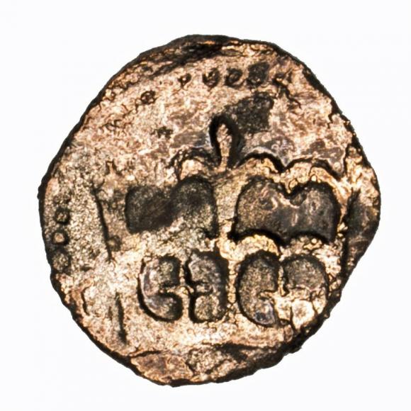 Denar Kazimierz Jagiellończyk Kraków (1)