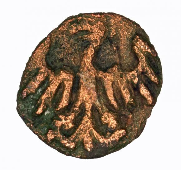 Denar Kazimierz Jagiellończyk Jan Olbracht Kraków (2)