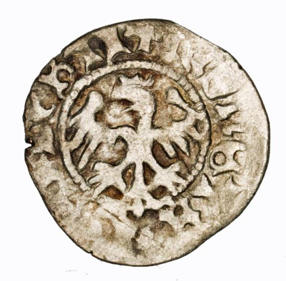 Półgrosz Jan Olbracht Kraków (2)