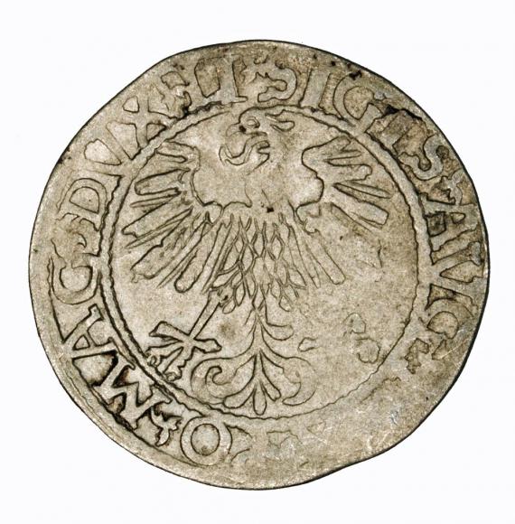 Półgrosz 1561 Zygmunt II August Wilno