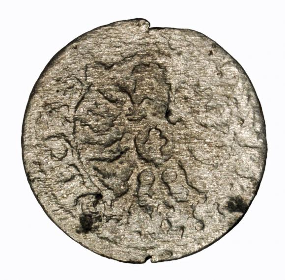 Grosz 1624 Zygmunt III Waza Kraków (2)