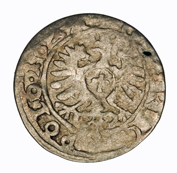 Grosz 1624 Zygmunt III Waza Kraków (2)