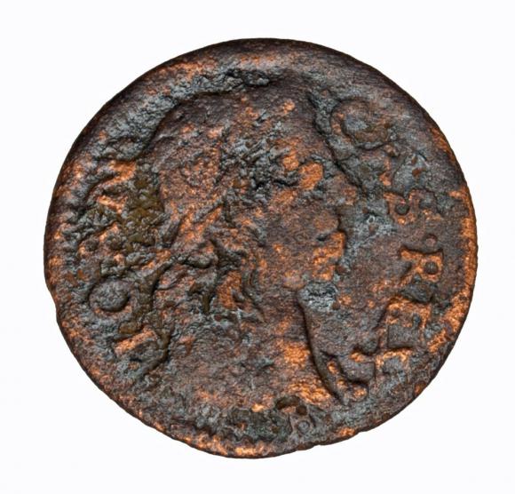 Szeląg 1661 Jan Kazimierz Ujazdów (1)