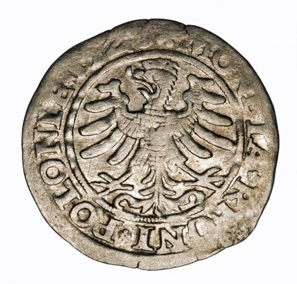 Grosz 1528 Zygmunt I Stary Kraków (2)