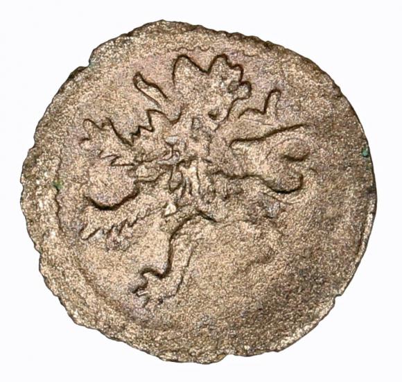 Halerz Władysław II Jagiellończyk Wrocław (2)