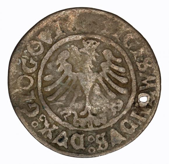 Grosz głogowski 1506 Zygmunt I Stary Głogów (2)