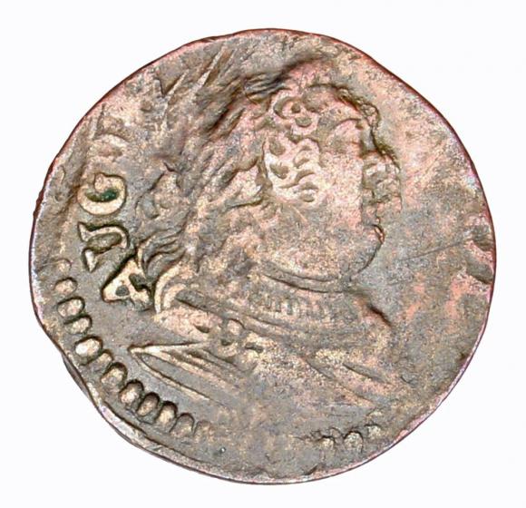 Szeląg August III Gubin (1)