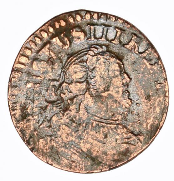 Szeląg August III Gubin (1)