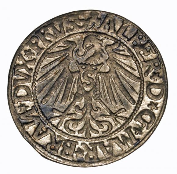 Grosz 1544 Albrecht Hohenzollern Księstwo Pruskie Królewiec
