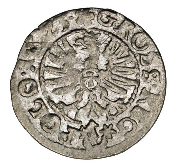 Grosz 1623 Zygmunt III Waza Bydgoszcz (2)