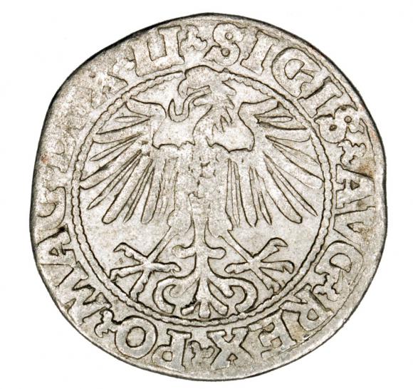 Półgrosz 1548 Zygmunt II August Wilno