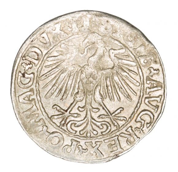 Półgrosz 1548 Zygmunt II August Wilno