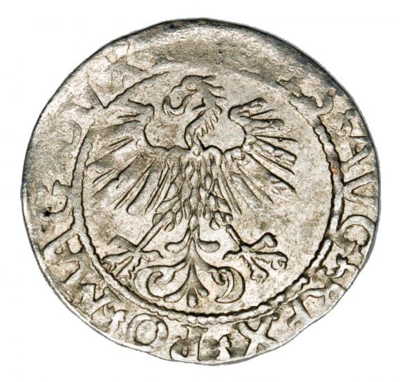 Półgrosz 1561 Zygmunt II August Litwa Wilno