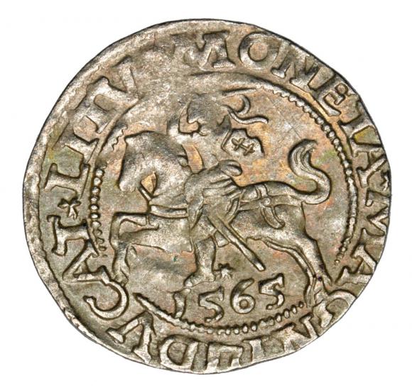 Półgrosz 1565 Zygmunt II August Litwa Wilno