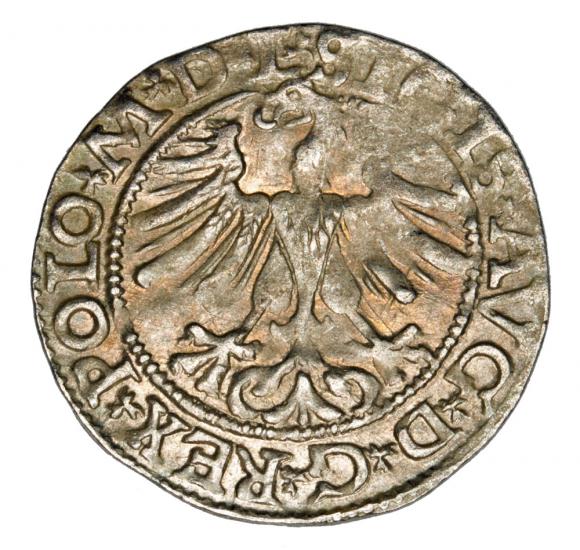 Półgrosz 1565 Zygmunt II August Litwa Wilno