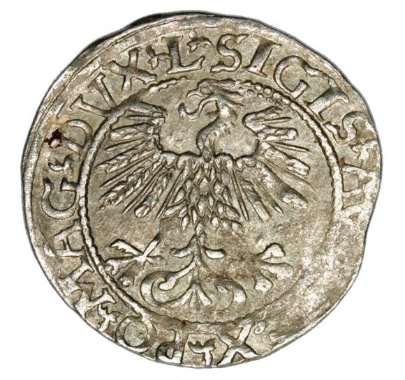 Półgrosz 1561 Zygmunt II August Litwa Wilno