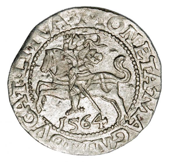 Półgrosz 1564 Zygmunt II August Litwa Wilno