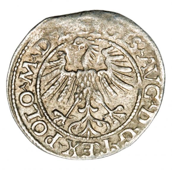 Półgrosz 1563 Zygmunt II August Litwa Wilno