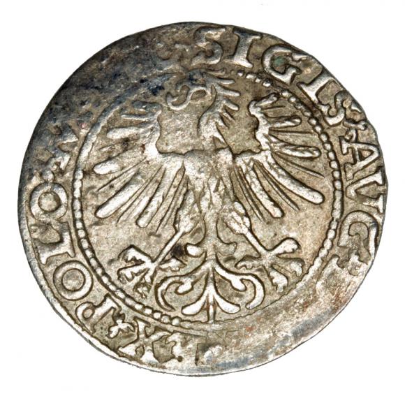 Półgrosz 1563 Zygmunt II August Litwa Wilno