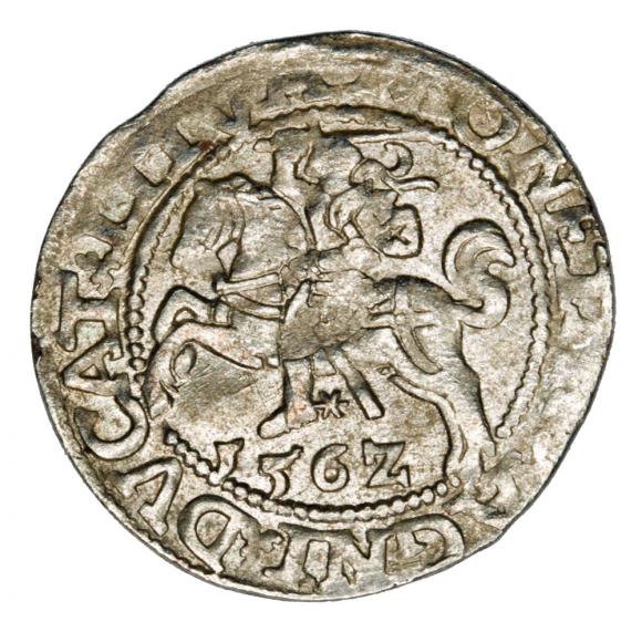 Półgrosz 1562 Zygmunt II August Litwa Wilno