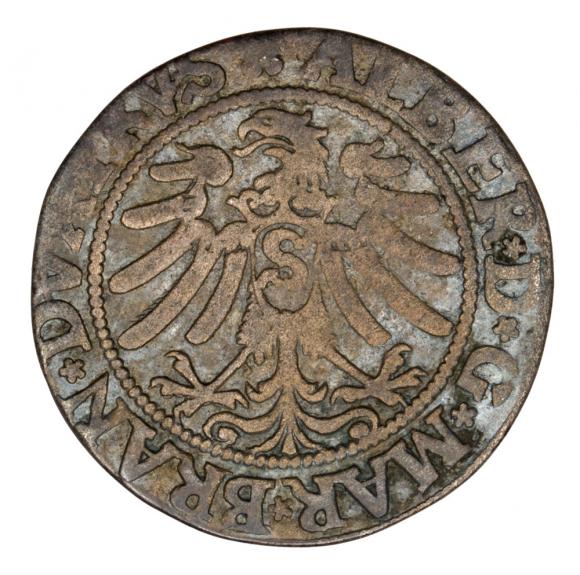 Grosz 1533 Albrecht Hohenzollern Księstwo Pruskie Królewiec