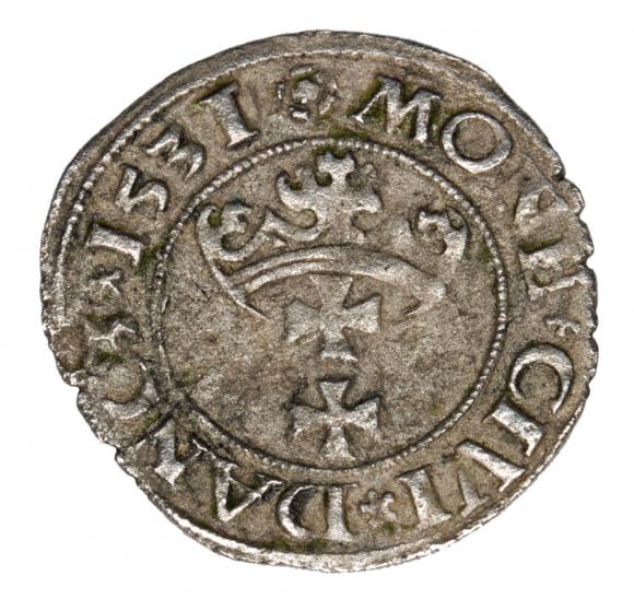 Szeląg 1531 Zygmunt I Stary Gdańsk Gdańsk (1)