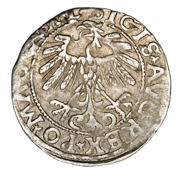 Półgrosz 1557 Zygmunt II August Litwa Wilno
