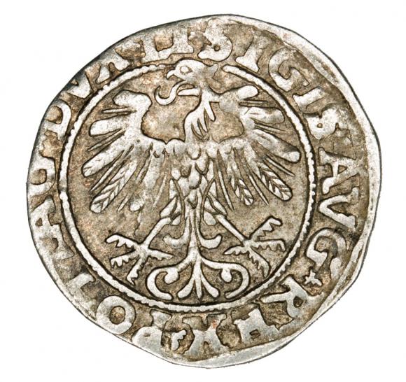 Półgrosz 1557 Zygmunt II August Litwa Wilno