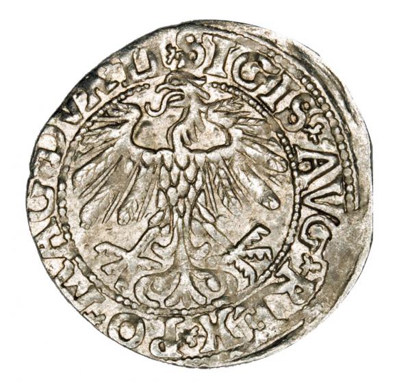 Półgrosz 1558 Zygmunt II August Litwa Wilno