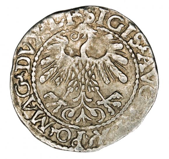 Półgrosz 1559 Zygmunt II August Litwa Wilno