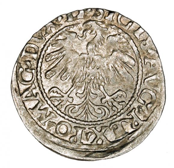 Półgrosz 1559 Zygmunt II August Litwa Wilno