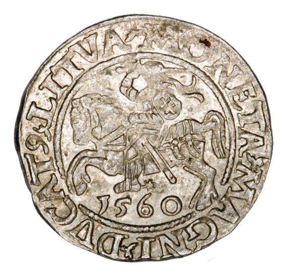 Półgrosz 1560 Zygmunt II August Litwa Wilno