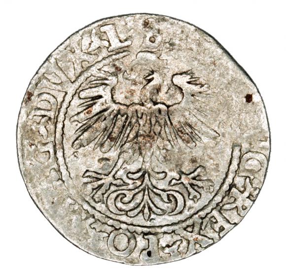 Półgrosz 1560 Zygmunt II August Litwa Wilno (2)