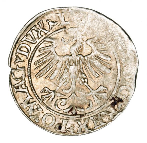Półgrosz 1560 Zygmunt II August Litwa Wilno