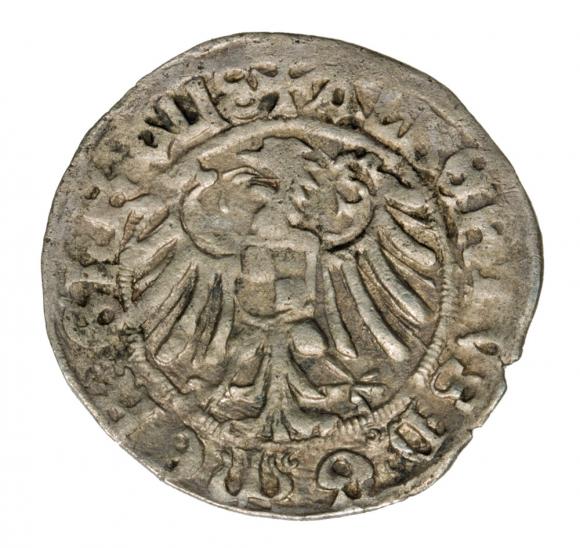 Grosz 1519 Albrecht Hohenzollern Zakon Krzyżacki Królewiec